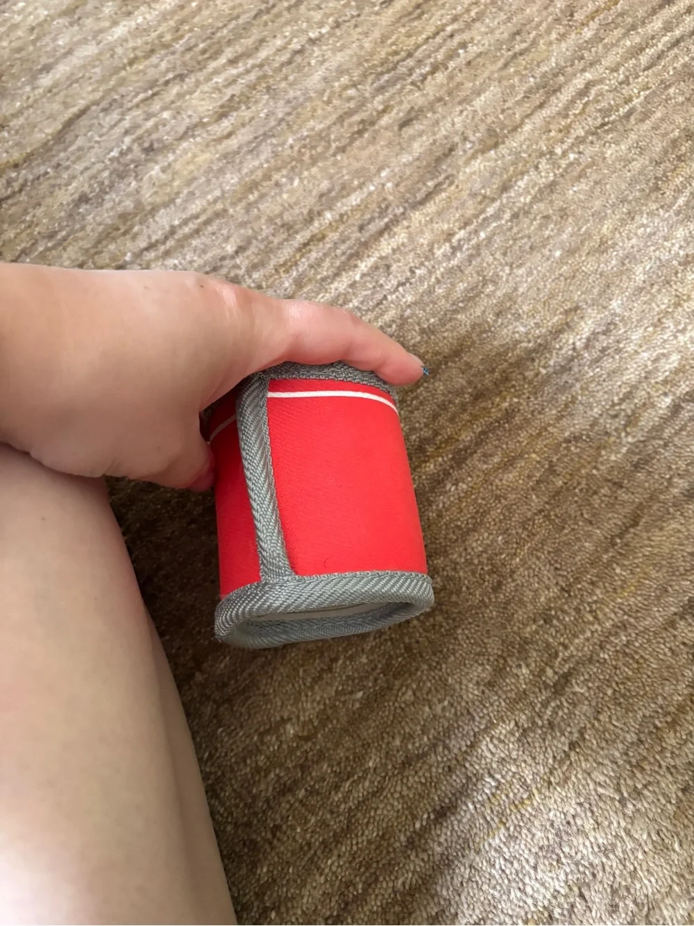 Dog toy never played with